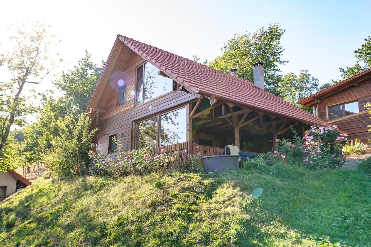 Valea Tirnei Rose Hip Hill Farm Bed & Breakfast エクステリア 写真