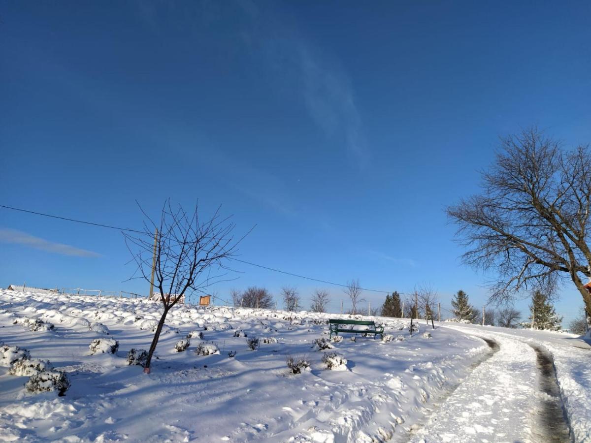 Valea Tirnei Rose Hip Hill Farm Bed & Breakfast エクステリア 写真