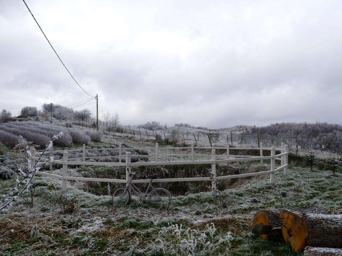 Valea Tirnei Rose Hip Hill Farm Bed & Breakfast エクステリア 写真