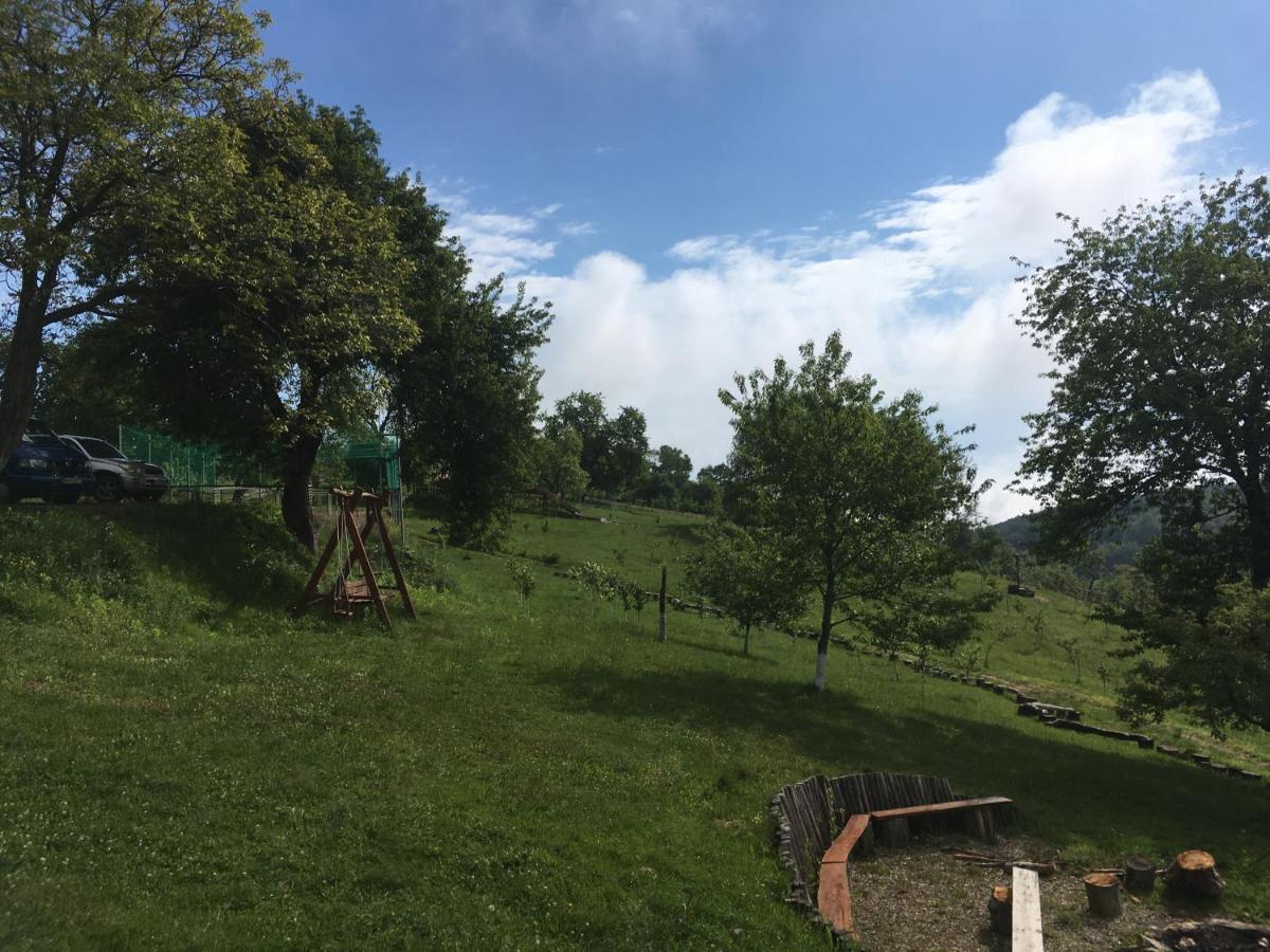 Valea Tirnei Rose Hip Hill Farm Bed & Breakfast エクステリア 写真