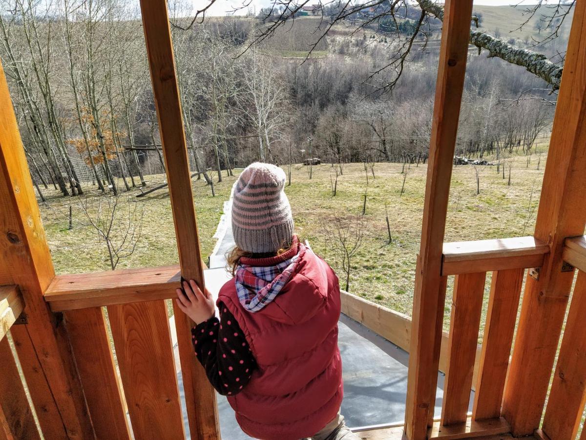 Valea Tirnei Rose Hip Hill Farm Bed & Breakfast エクステリア 写真
