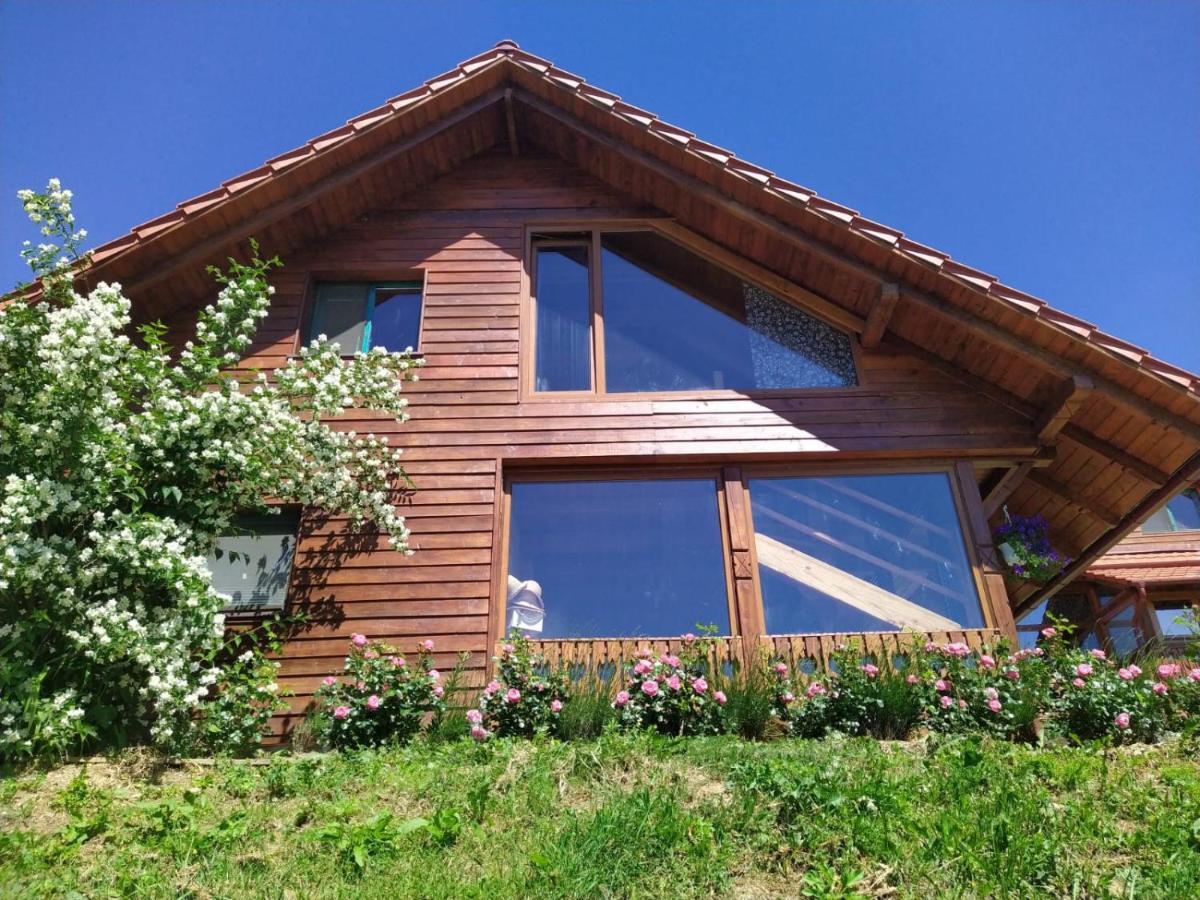 Valea Tirnei Rose Hip Hill Farm Bed & Breakfast エクステリア 写真